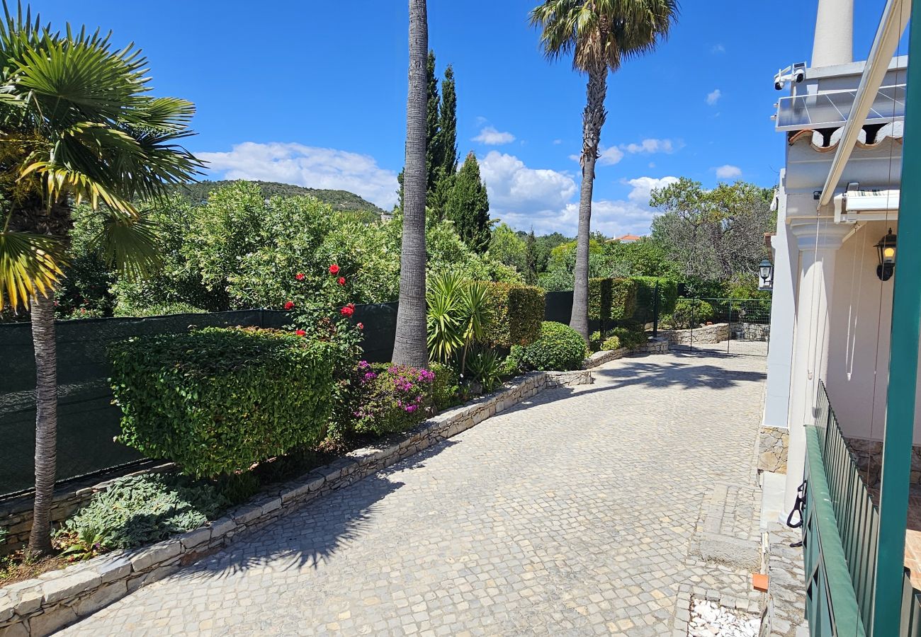 Villa à Santa Bárbara de Nexe - Villa Buganvília · Private Pool · Santa Bárbara
